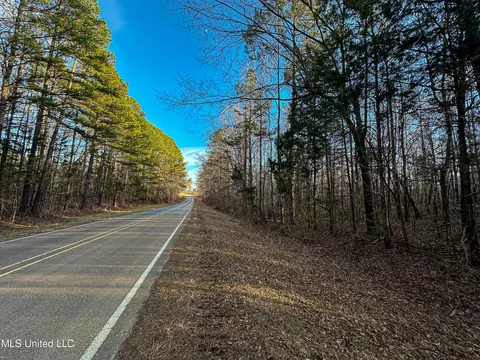 Alva Road, Eupora, MS 39744 photo 5