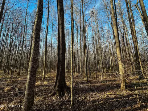 Alva Road, Eupora, MS 39744 photo 8