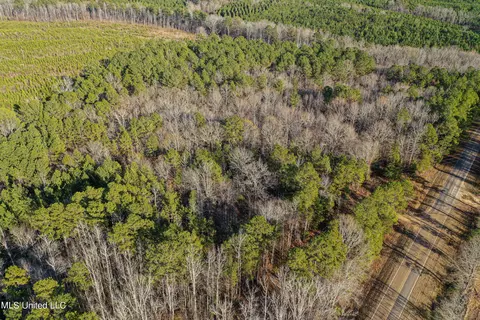 Alva Road, Eupora, MS 39744 photo 7
