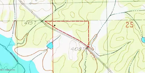Alva Road, Eupora, MS 39744 photo 6