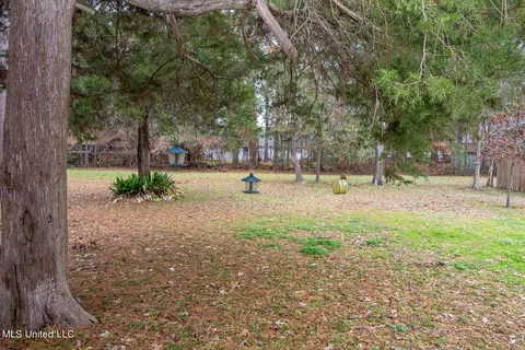 204 Lakeside Dr, Brandon, MS 39047 photo 19