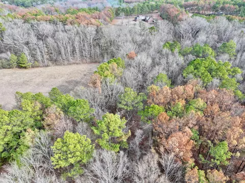 Stout Rd Road, Madison, MS 39110 photo 6