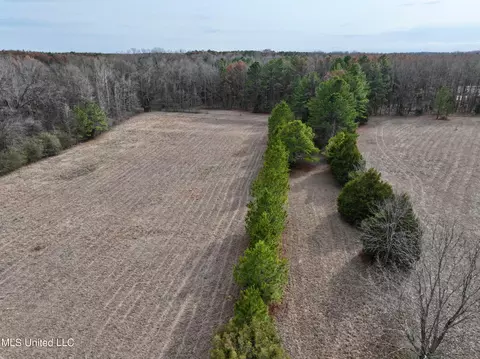 Stout Rd Road, Madison, MS 39110 photo 3