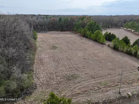 Stout Rd Road, Madison, MS 39110 photo 4