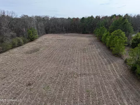 Stout Rd Road, Madison, MS 39110 photo 2