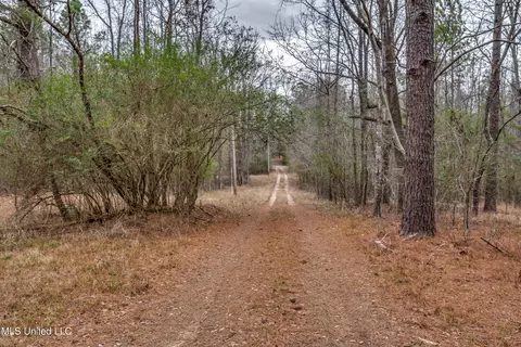 6295 Kennebrew Rd, Jackson, MS 39209 photo 52