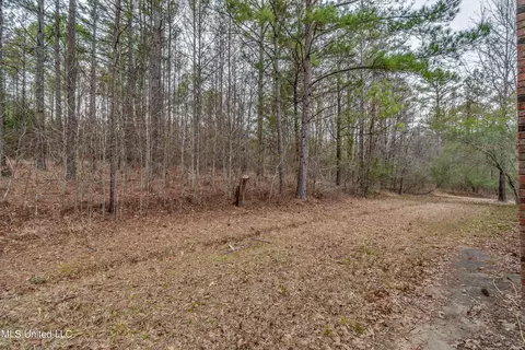 6295 Kennebrew Rd, Jackson, MS 39209 photo 50