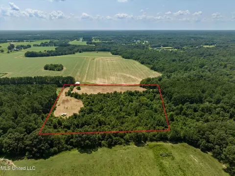 25031 Wallace Rd, Lucedale, MS 39452 photo 8
