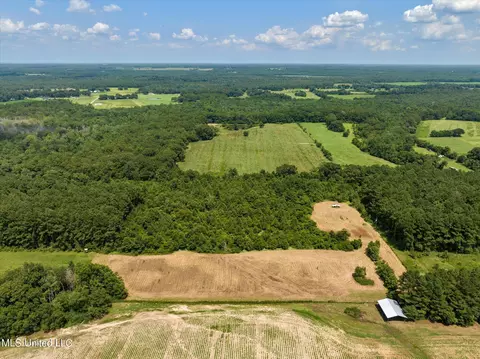 25031 Wallace Rd, Lucedale, MS 39452 photo 3
