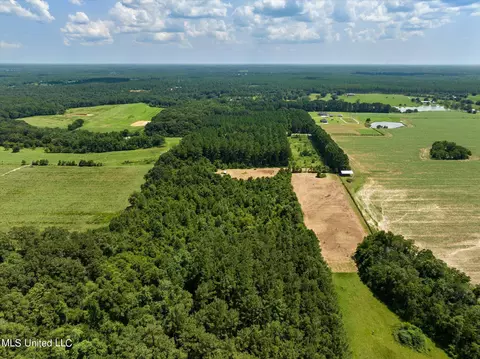25031 Wallace Rd, Lucedale, MS 39452 photo 6