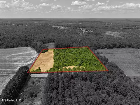 25031 Wallace Rd, Lucedale, MS 39452 photo 10