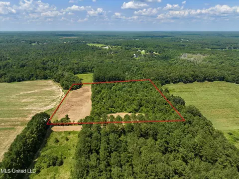 25031 Wallace Rd, Lucedale, MS 39452 photo 11