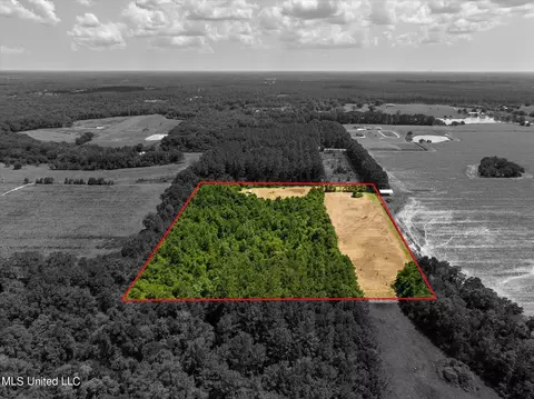 25031 Wallace Rd, Lucedale, MS 39452 photo 4