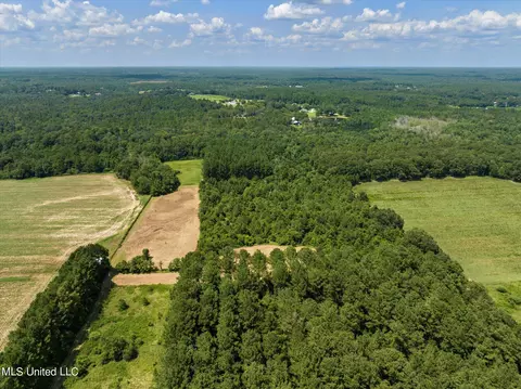 25031 Wallace Rd, Lucedale, MS 39452 photo 12