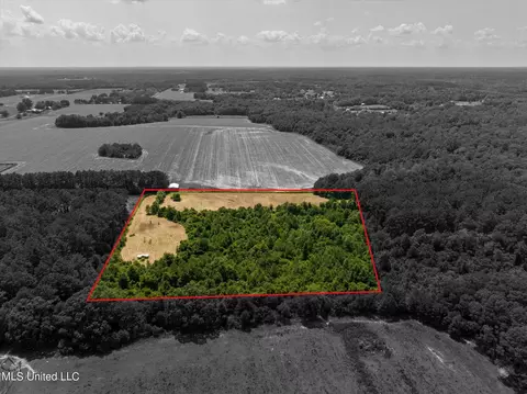 25031 Wallace Rd, Lucedale, MS 39452 photo 7
