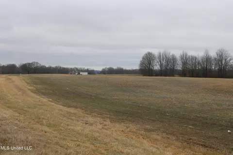 3 Como Trace Dr, Senatobia, MS 38668 photo 3