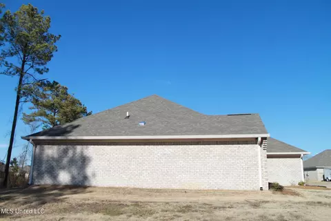 113 Brunswick Cv Cv, Canton, MS 39046 photo 3
