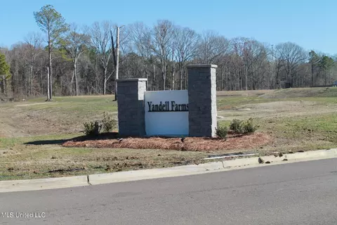 113 Brunswick Cv Cv, Canton, MS 39046 photo 8