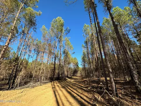 1 Cr 4137, Sallis, MS 39160 photo 2