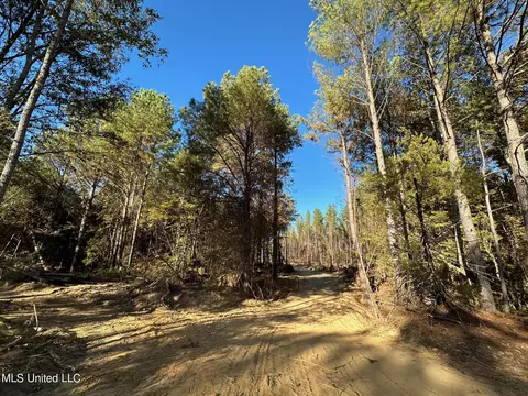 1 Cr 4137, Sallis, MS 39160 photo 7