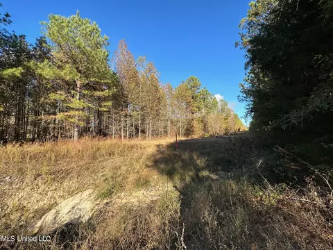 1 Cr 4137, Sallis, MS 39160 photo 37