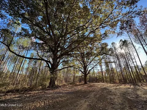 1 Cr 4137, Sallis, MS 39160 photo 34