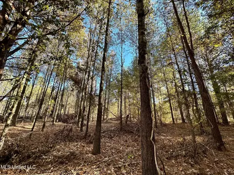 1 Cr 4137, Sallis, MS 39160 photo 9