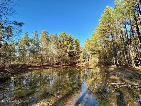 1 Cr 4137, Sallis, MS 39160 photo 50