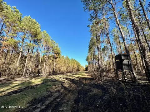 1 Cr 4137, Sallis, MS 39160 photo 6