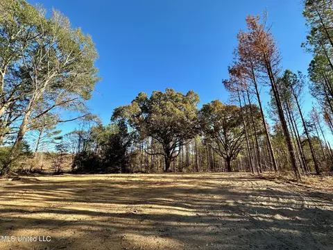 1 Cr 4137, Sallis, MS 39160 photo 30