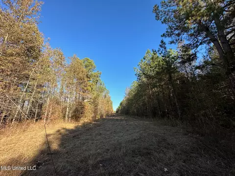 1 Cr 4137, Sallis, MS 39160 photo 38