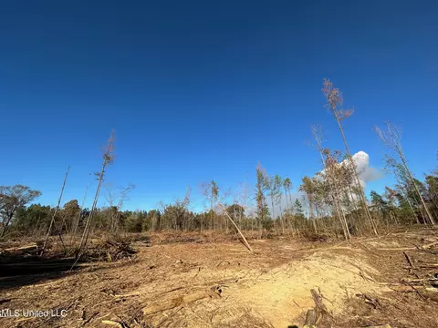 1 Cr 4137, Sallis, MS 39160 photo 32