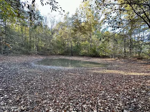 1 Cr 4137, Sallis, MS 39160 photo 12