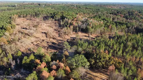 1 Cr 4137, Sallis, MS 39160 photo 52