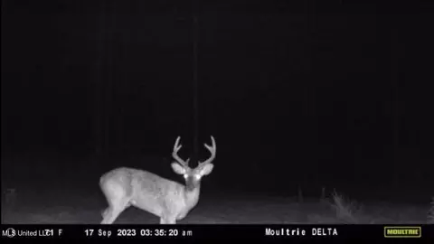 1 Cr 4137, Sallis, MS 39160 photo 27