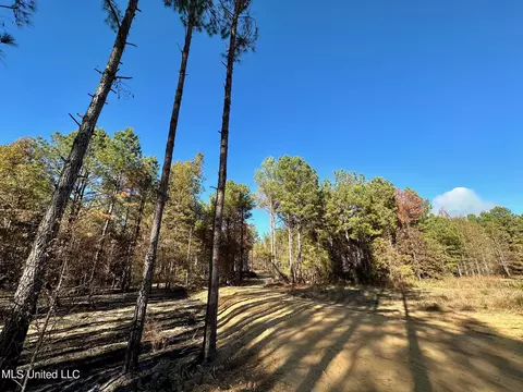 1 Cr 4137, Sallis, MS 39160 photo 3