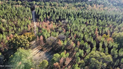 1 Cr 4137, Sallis, MS 39160 photo 53