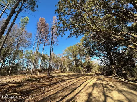 1 Cr 4137, Sallis, MS 39160 photo 11