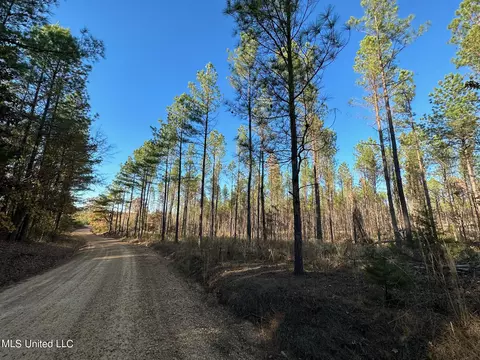 1 Cr 4137, Sallis, MS 39160 photo 40