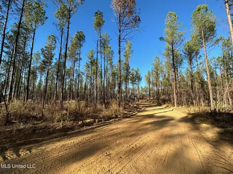 1 Cr 4137, Sallis, MS 39160 photo 41