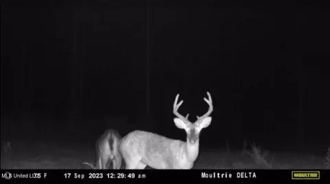1 Cr 4137, Sallis, MS 39160 photo 28