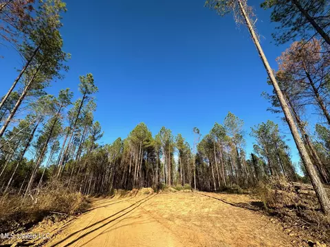 1 Cr 4137, Sallis, MS 39160 photo 48