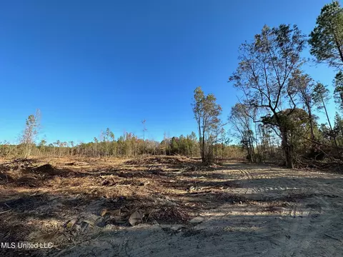 1 Cr 4137, Sallis, MS 39160 photo 31