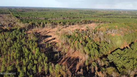 1 Cr 4137, Sallis, MS 39160 photo 59