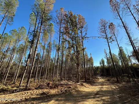 1 Cr 4137, Sallis, MS 39160 photo 35