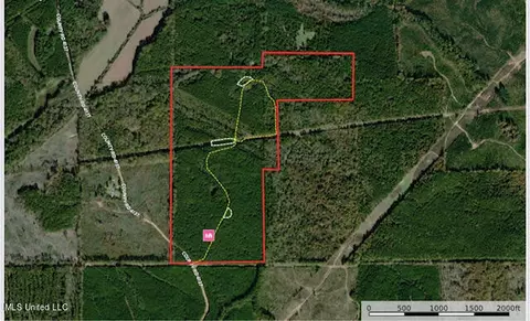 1 Cr 4137, Sallis, MS 39160 photo 61