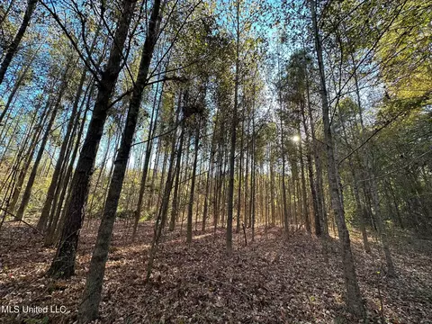 1 Cr 4137, Sallis, MS 39160 photo 29