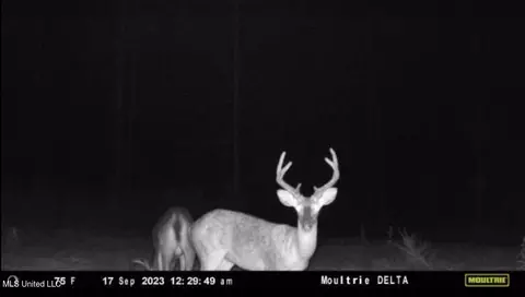 1 Cr 4137, Sallis, MS 39160 photo 24