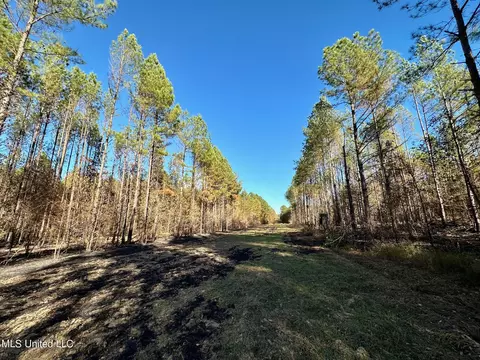 1 Cr 4137, Sallis, MS 39160 photo 4