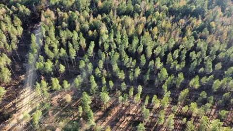 1 Cr 4137, Sallis, MS 39160 photo 54